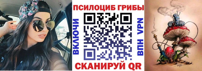 Псилоцибиновые грибы мицелий  Пойковский 